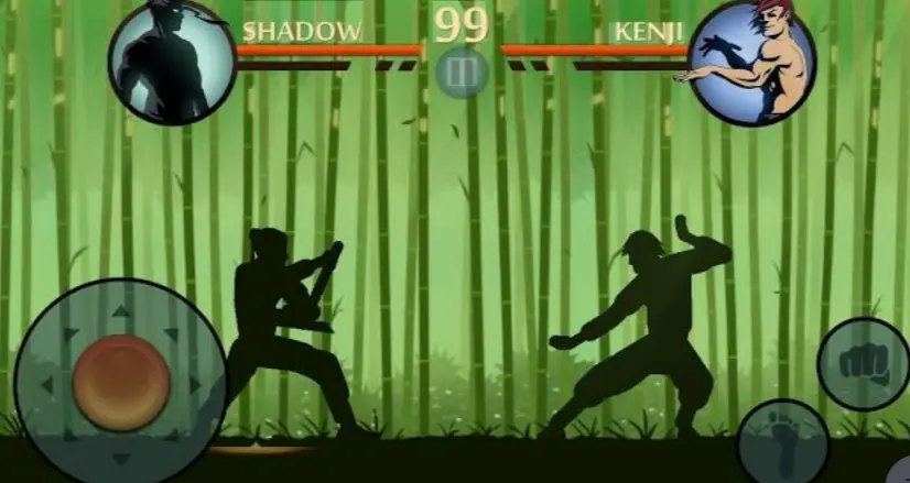 Shadow Fight 2